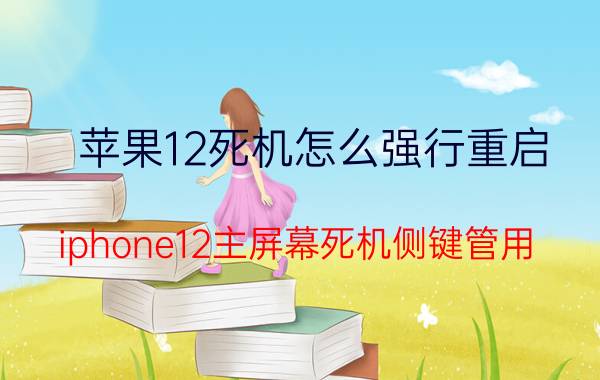 苹果12死机怎么强行重启 iphone12主屏幕死机侧键管用？